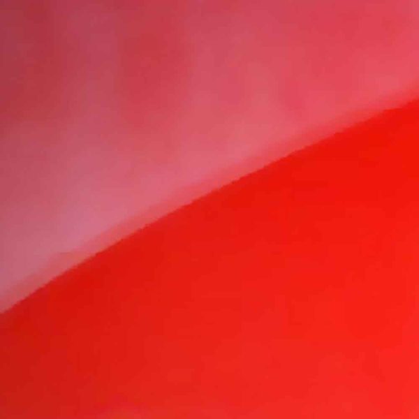 Recuperador pintura Restore - Image 3